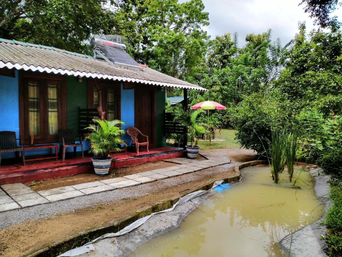 Gangula Eco Séjour chez l'habitant Sigirîya