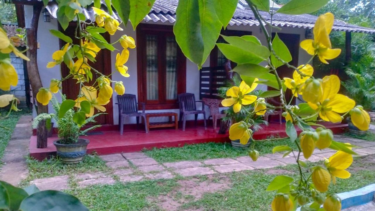 Gangula Eco * Sigirîya