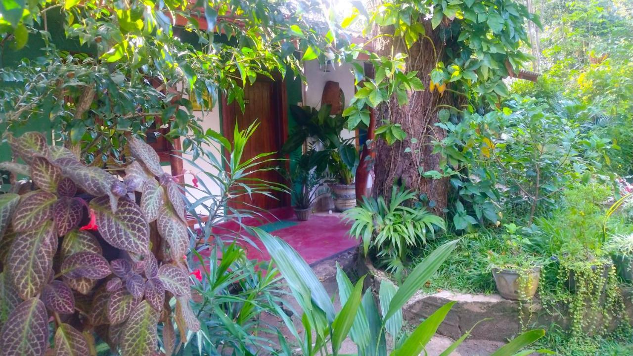 Gangula Eco Séjour chez l'habitant