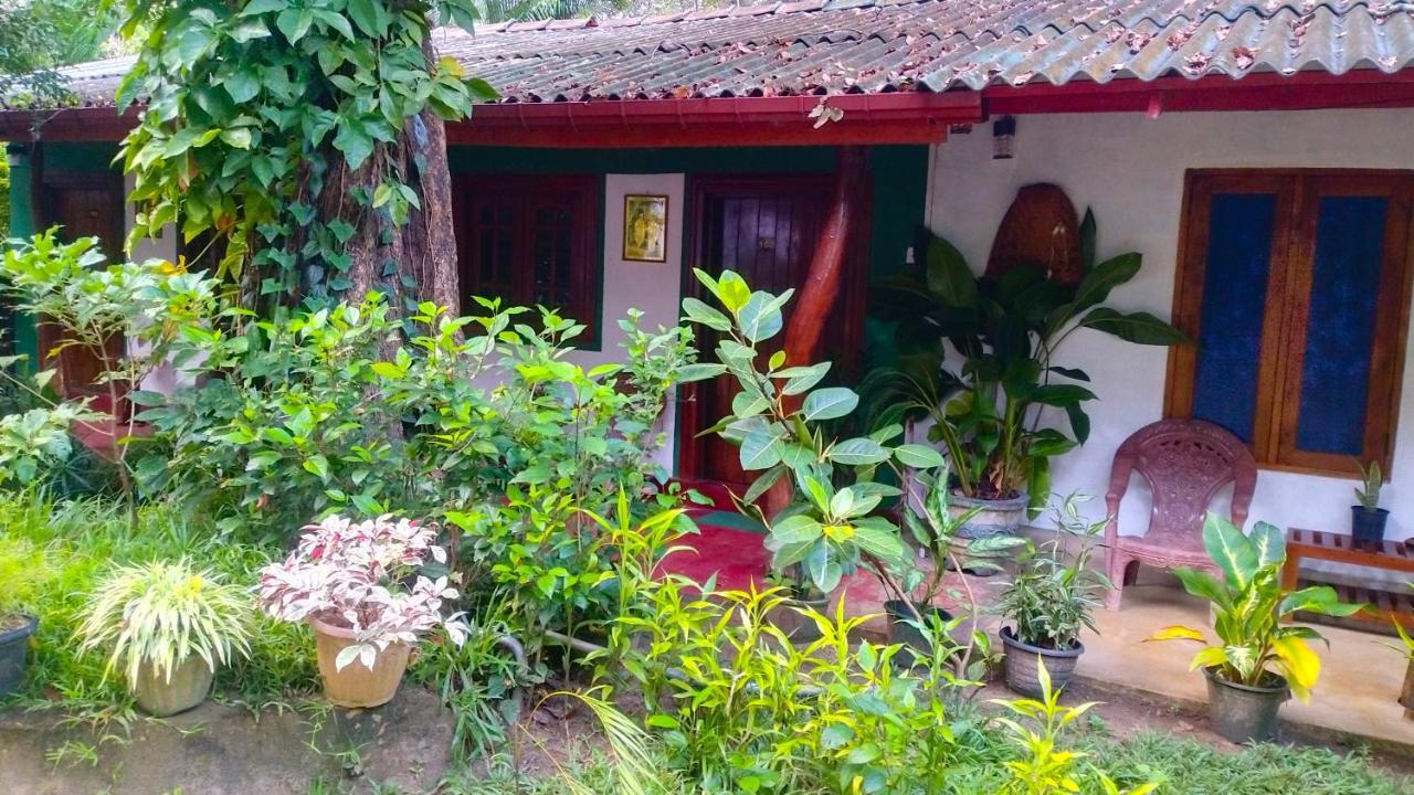 Séjour chez l'habitant Gangula Eco *