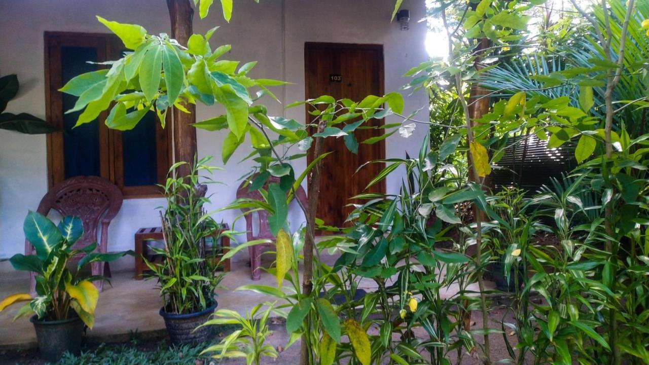 Gangula Eco Sigirîya