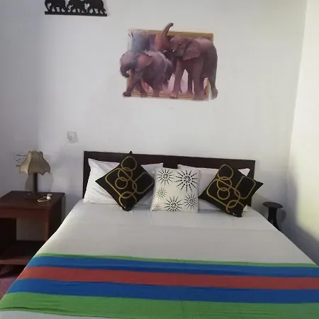 Gangula Eco Lodge Sigiriya Buitenkant foto