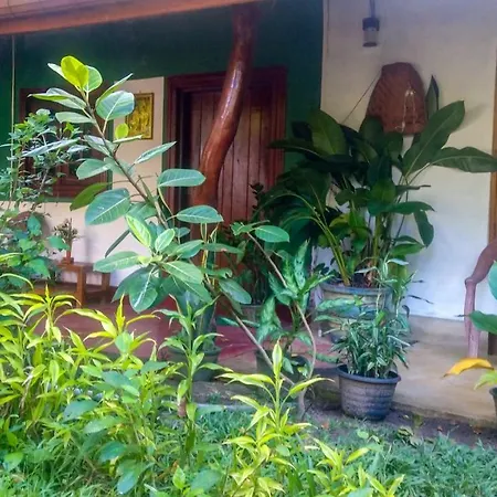 Gangula Eco Lodge Sigiriya Buitenkant foto
