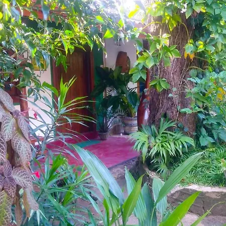 Gangula Eco Lodge Sigiriya Buitenkant foto