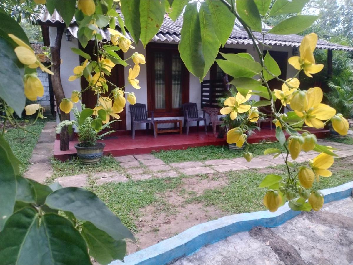 Gangula Eco Privatunterkunft *